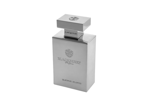 Platinum Atlantic - Image 5